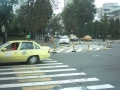 944517_10151651068439901_270014052_n