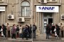 Consiliul Concurentei a extins investigatia demarata impotriva mafiei lemnului