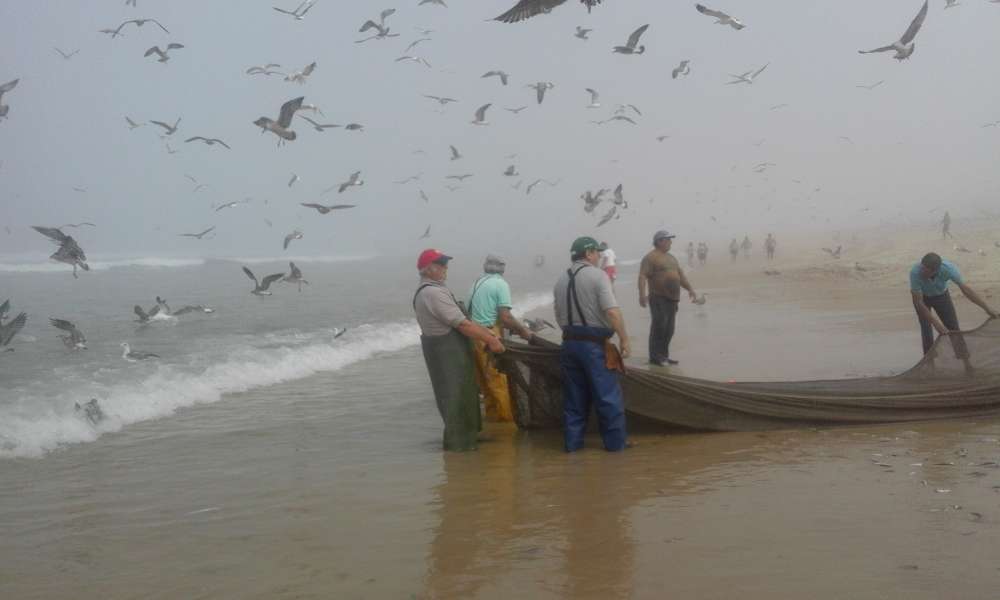 Jurnal portughez (III). Pescuitul cu mana in Atlantic. Lupta dintre pescarusi si oameni, imortalizata in imagini unice