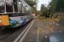 Un autocar cu copii s-a răsturnat la Brasov. A fost activat codul rosu de interventie