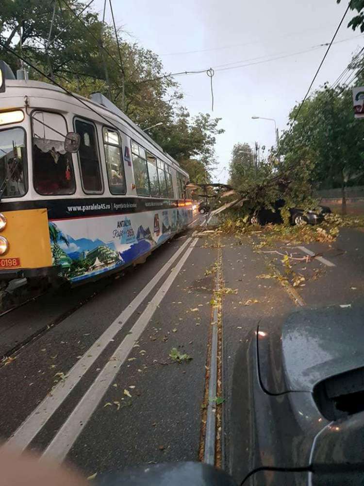 Efectele furtunii de la Iasi: arbori cazuti peste tramvaie, ornamente ale cladirilor aruncate pe trotuare si mai multe masini distruse