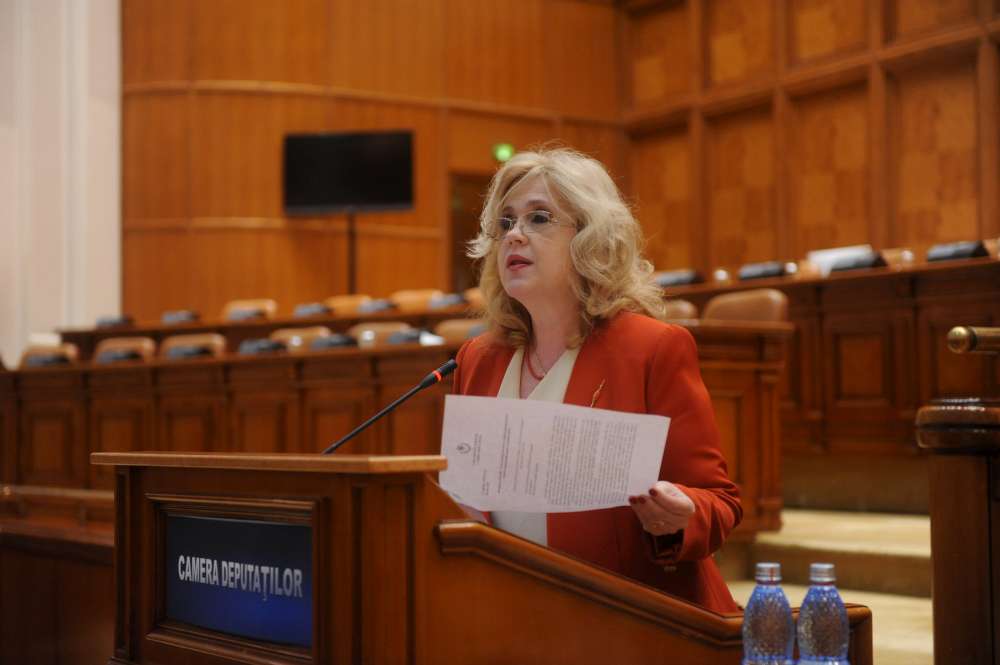 Deputatul Camelia Gavrilă subliniază importanta  stagiilor de practică în specialitate si a legii  INTERNSHIP-ului