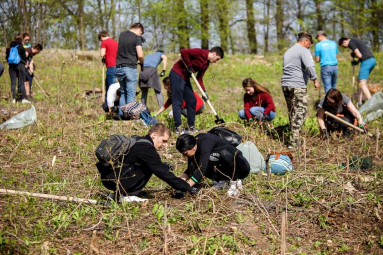 120 de angajati ai companiilor din cladirile de birouri UBC Palas au plantat o padurice intr-o zona din apropierea Iasului