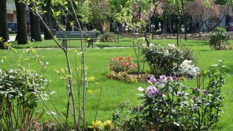 Cinci spații publice abandonate vor fi transformate în parcuri