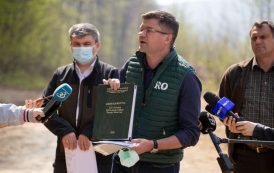 Documente ilegale, la baza tăierilor din pădurea Dobrovăț. Costel Alexe, în capul listei de vinovați