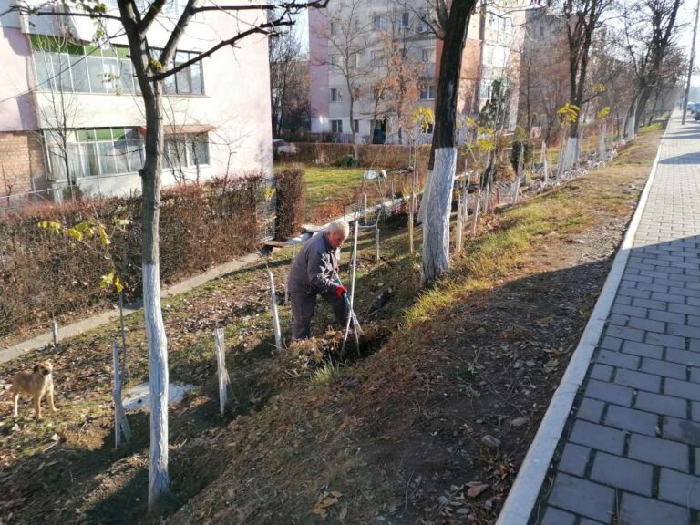 Povestea ieșeanului care plantează grădini pe dâmburile sterpe din Alexandru. Amendat pentru că își sacrifică pensia pentru frumusețea Iașului