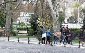Barbarie in centrul Iasului! Pandarii lui Zanfirescu au intrat in vacanta?
