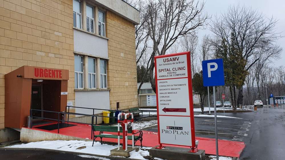 Singura banca de sange si  primul centru de transfuzii veterinar din Moldova, deschise la USV Iasi