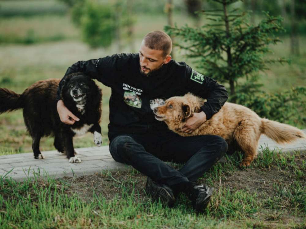 Stefan Mandachi vrea sa sterilizeze toti cainii fara stapan din Suceava. 