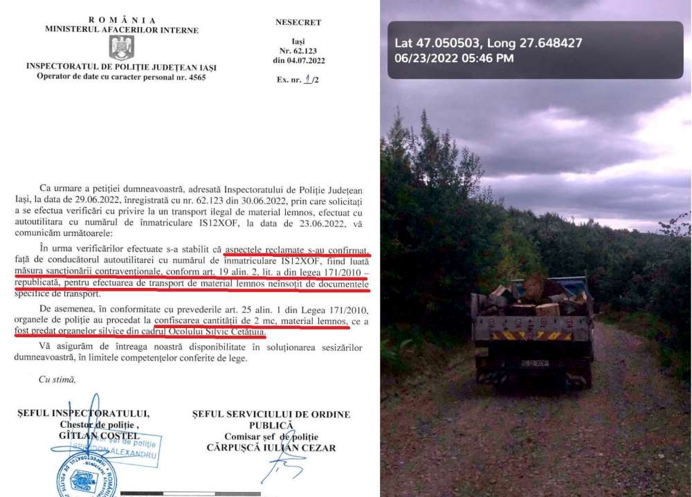 Neam de hoti! Taierile ilegale de lemn in padurea Dobrovat- Barnova continua. Codrii seculari ai Iasului, distrusi cu sprijinul coruptilor din politica, Directia Silvica si Politie