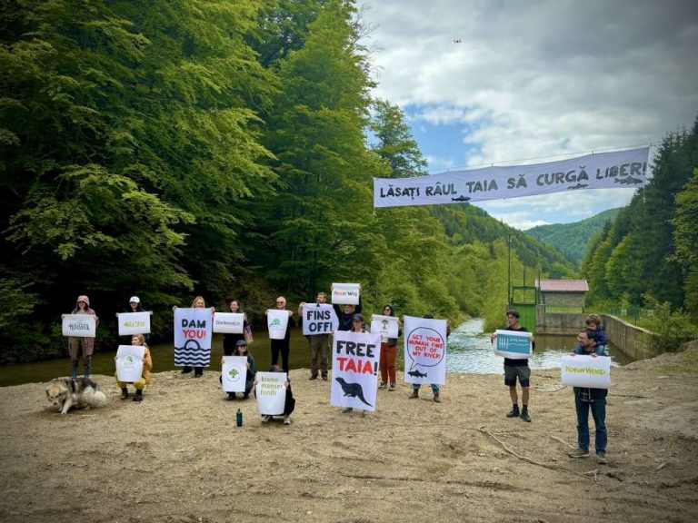 Protest pentru demolarea hidrocentralei ilegale de pe râul Taia