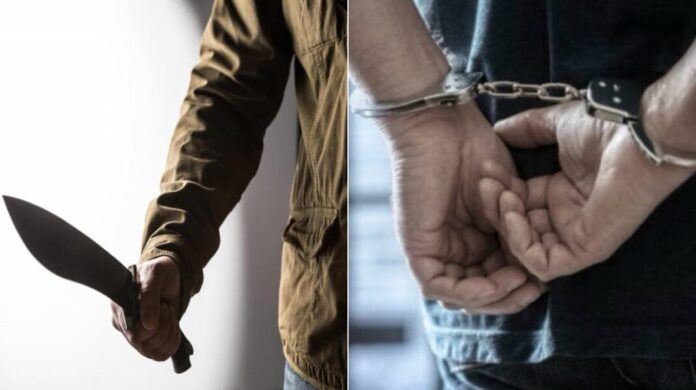 Criminal cu maceta